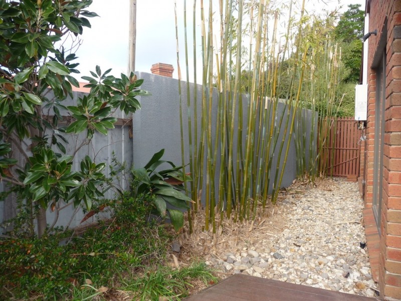 51 Rutley Crescent, Echuca VIC 3564