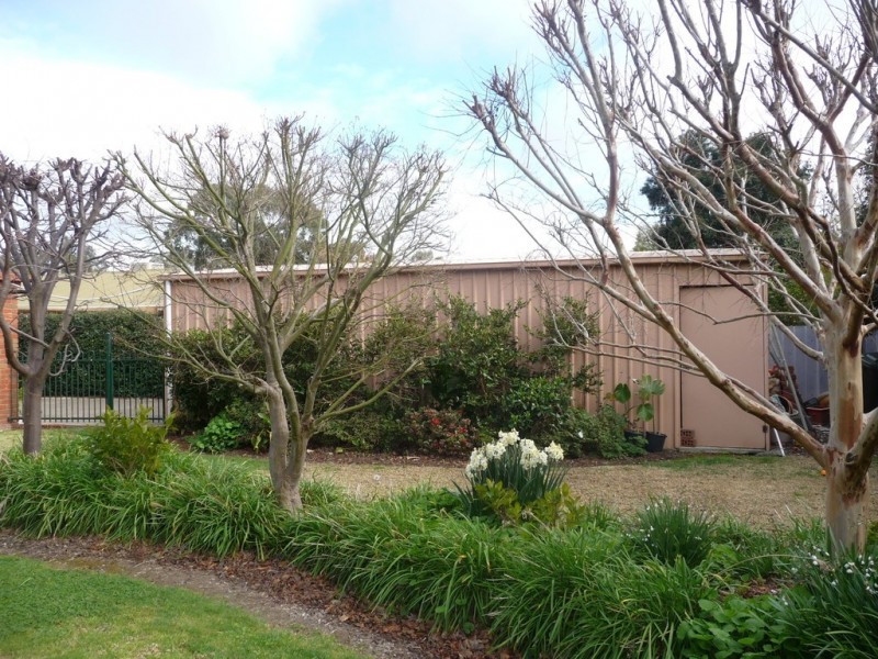51 Rutley Crescent, Echuca VIC 3564