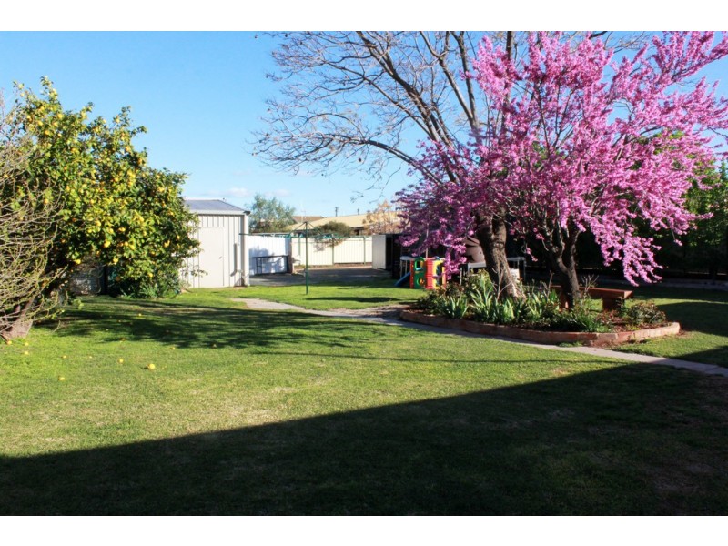 43 Echuca Street, Moama NSW 2731