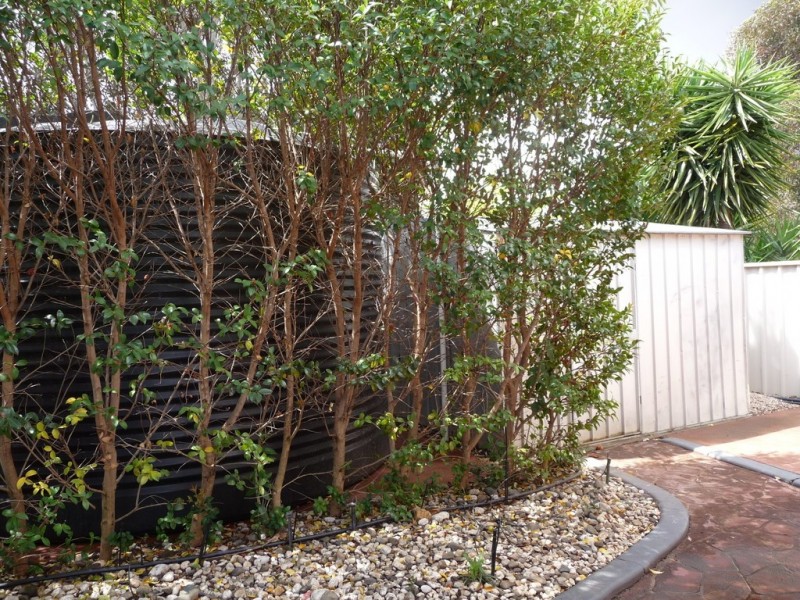 48 Lawson Drive, Moama NSW 2731