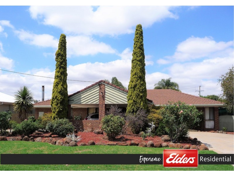 41 Chanter Street, Moama NSW 2731