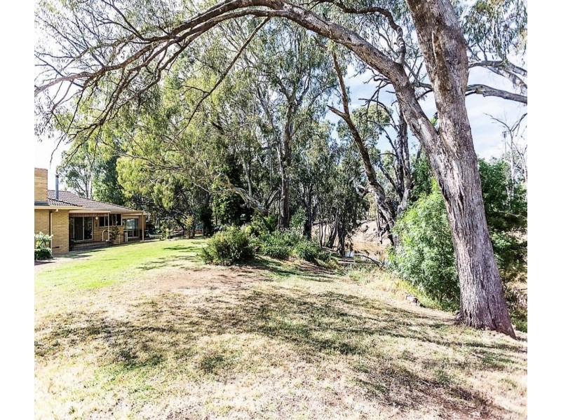 17 Henry Street, Echuca VIC 3564