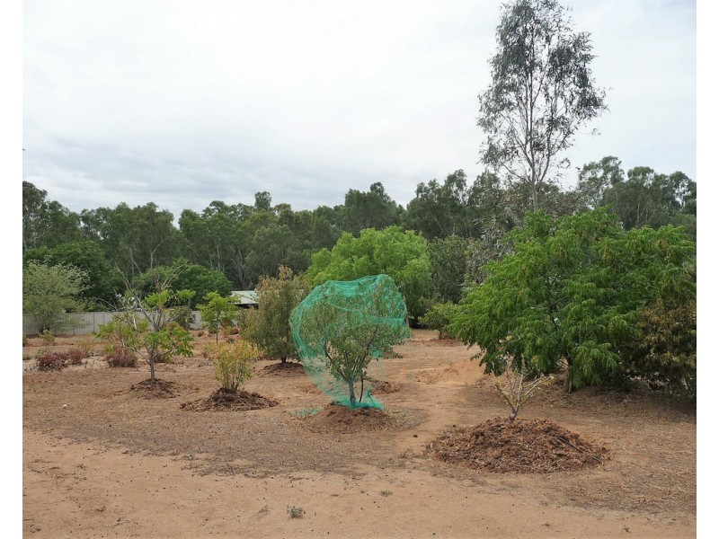 66 – 68 Carter Street, Mathoura NSW 2710