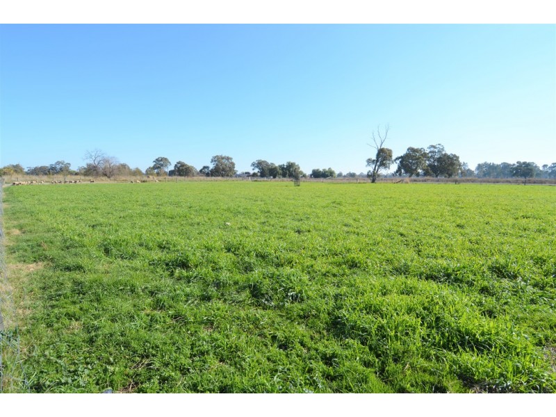 440 Brown Road, Echuca Village VIC 3564