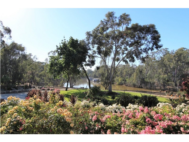 11 Maidensmith Drive, Moama NSW 2731