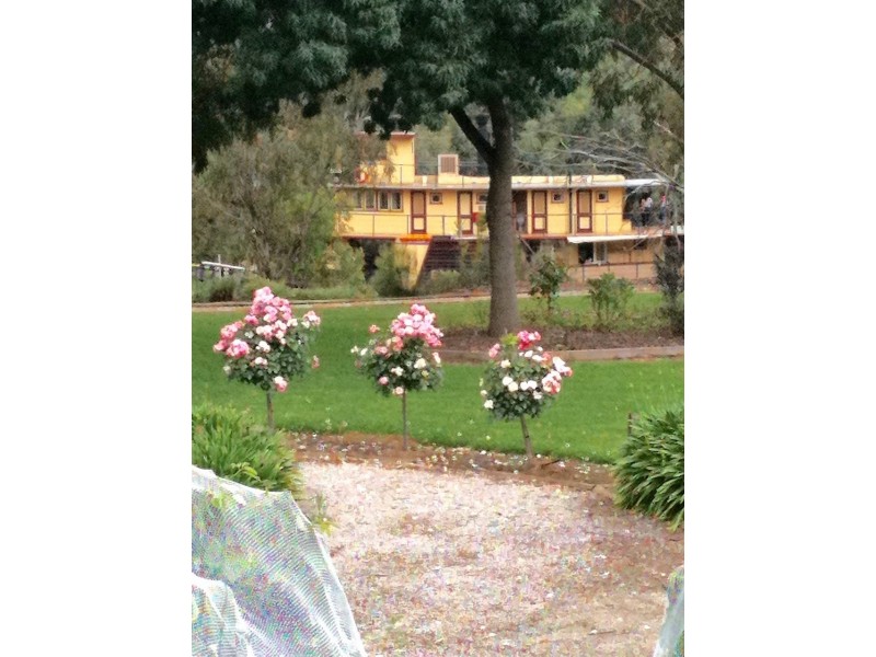 11 Maidensmith Drive, Moama NSW 2731