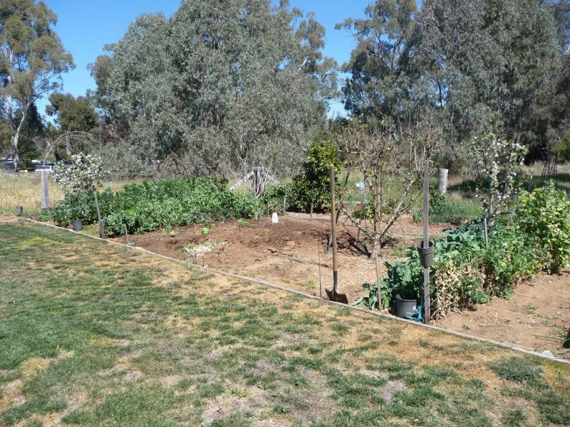 79 McKenzie St, Echuca VIC 3564