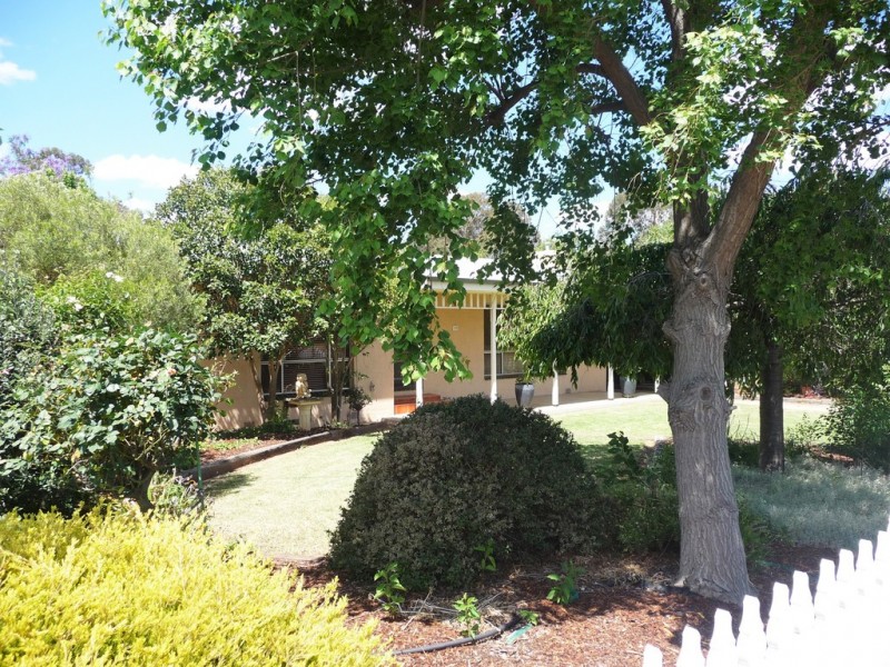 19 Martin St, Moama NSW 2731