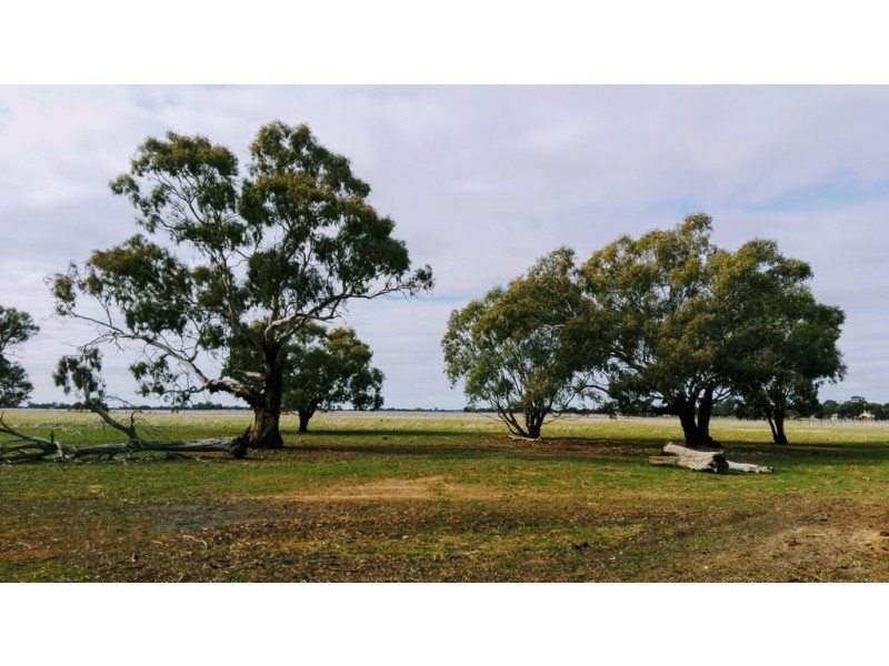 1452 Mt Terrick Road, Roslynmead VIC 3564