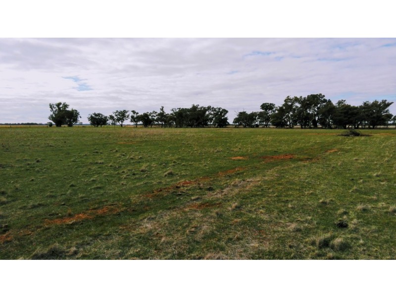 1452 Mt Terrick Road, Roslynmead VIC 3564