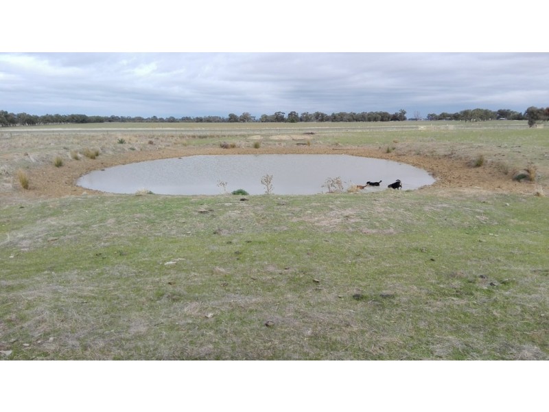 1452 Mt Terrick Road, Roslynmead VIC 3564