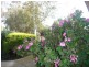 695 Bamawm Hall Road, Bamawm VIC 3561
