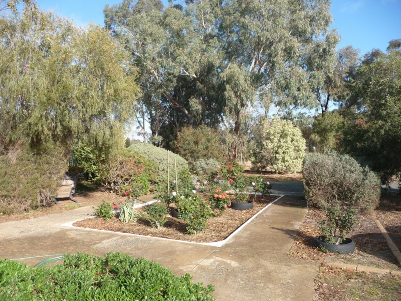 695 Bamawm Hall Road, Bamawm VIC 3561