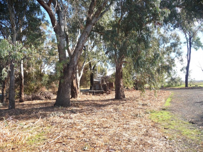 695 Bamawm Hall Road, Bamawm VIC 3561