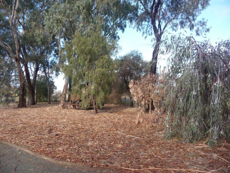 695 Bamawm Hall Road, Bamawm VIC 3561
