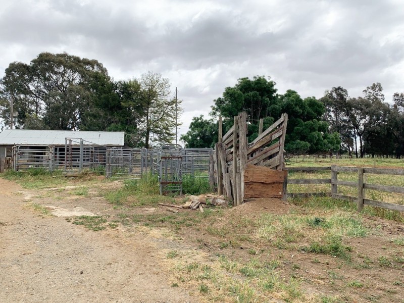 358 Vise Road, Bamawm VIC 3561