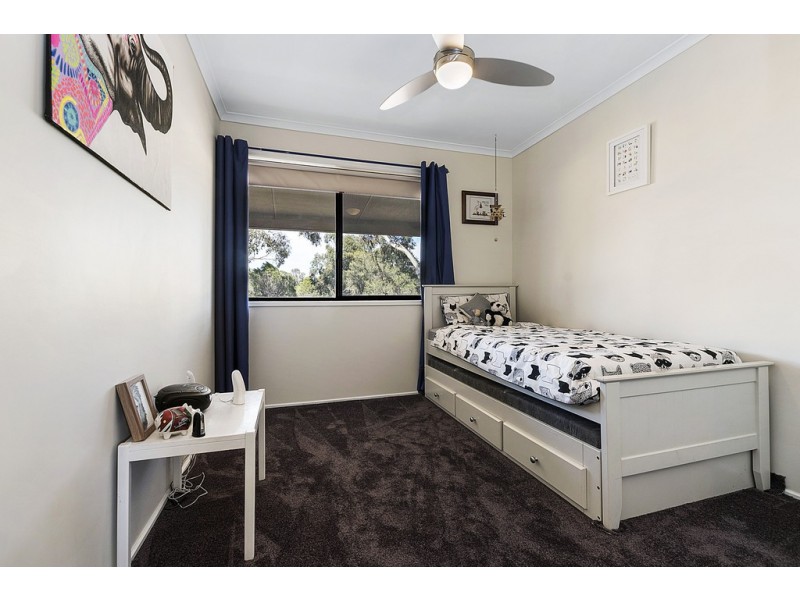 175 MULLER ROAD, Echuca VIC 3564