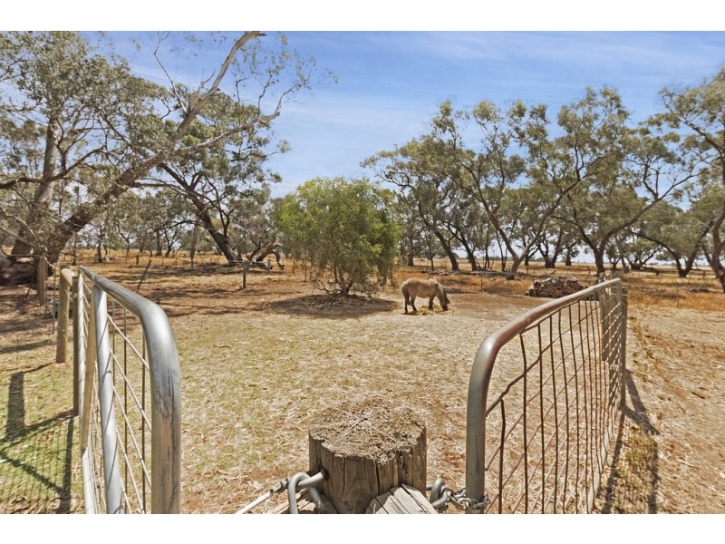 408 Bamawm Hall Road, Bamawm VIC 3561