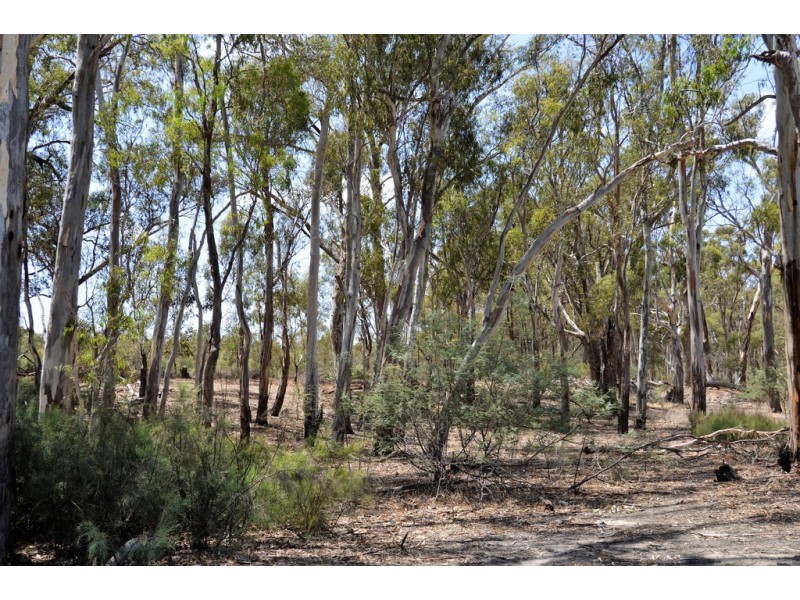 78 Louie’s Hut Road, Moama NSW 2731