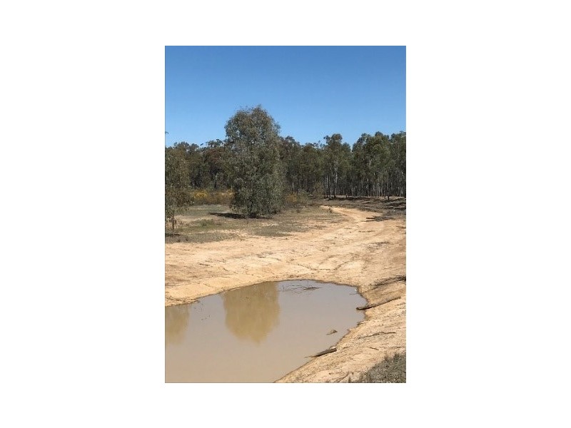 66  Lot 2 Old  Barmah Road, Moama NSW 2731