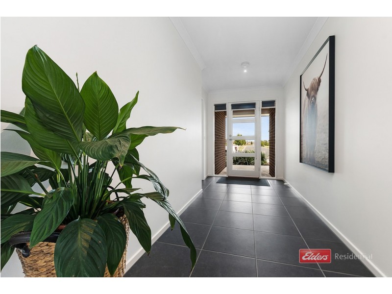 26 Wilkinson Drive, Echuca VIC 3564