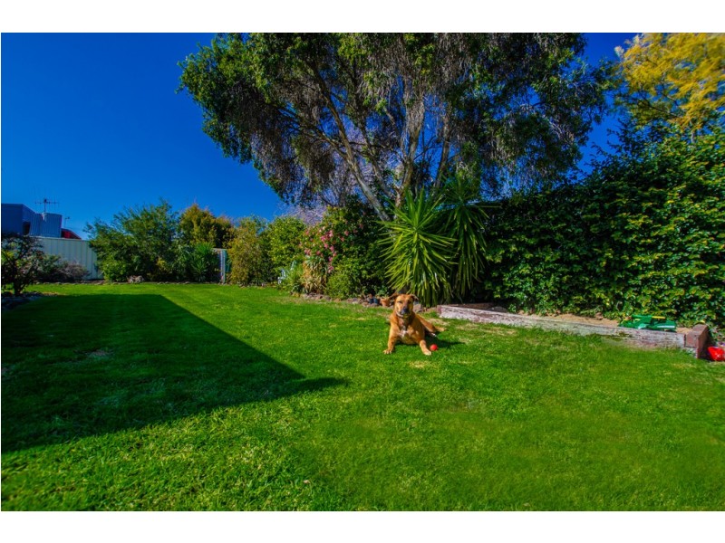 38 Crossen Street, Echuca VIC 3564