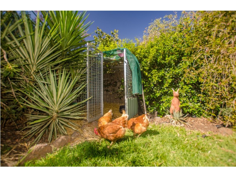 38 Crossen Street, Echuca VIC 3564