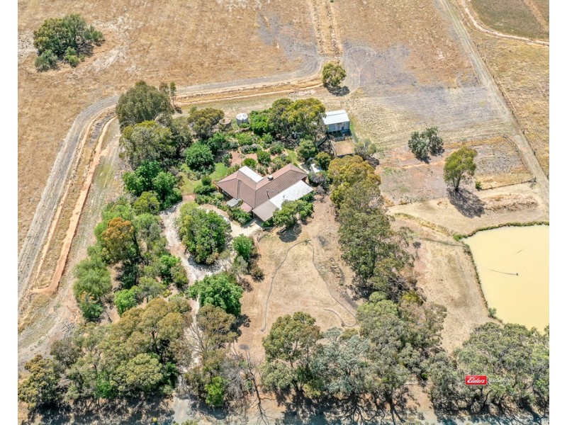 137 Muller Road, Echuca VIC 3564
