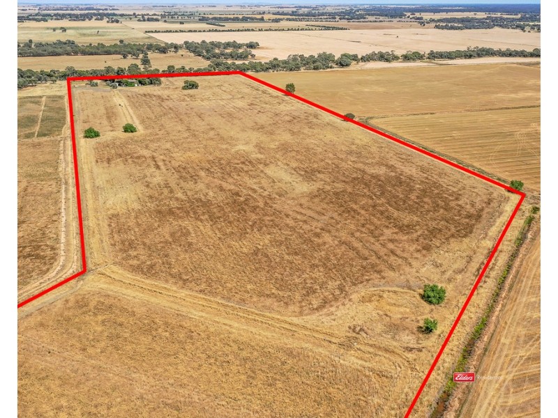 137 Muller Road, Echuca VIC 3564