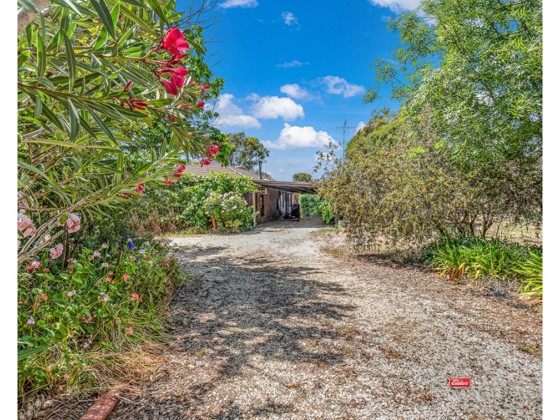 137 Muller Road, Echuca VIC 3564