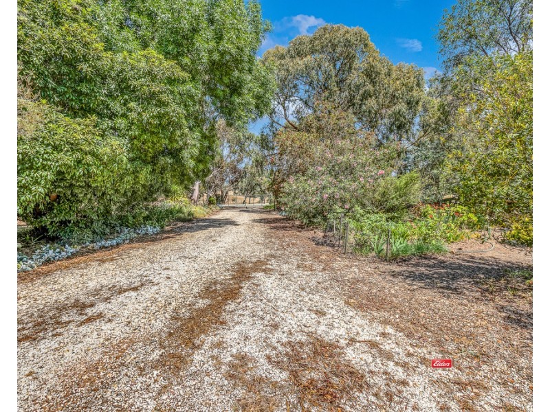 137 Muller Road, Echuca VIC 3564