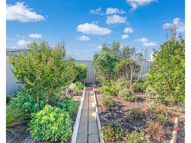 53 Genevieve Avenue, Echuca VIC 3564