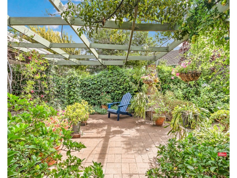 20 Vines Street, Echuca VIC 3564