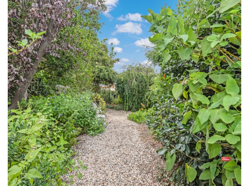 20 Vines Street, Echuca VIC 3564