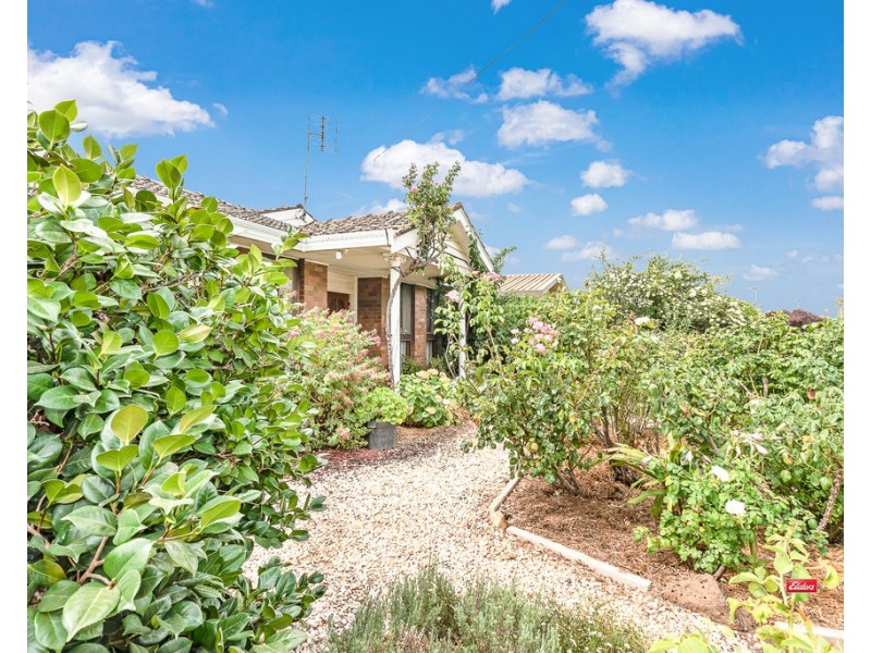 20 Vines Street, Echuca VIC 3564