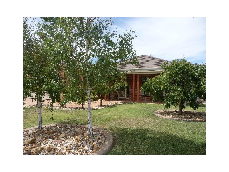 28 King Fisher Dve West, Moama NSW 2731