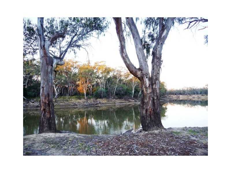88 Wharparilla Drive, Echuca VIC 3564