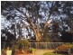 12 Hicks Cres, Echuca VIC 3564