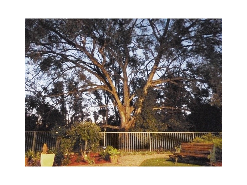 12 Hicks Cres, Echuca VIC 3564