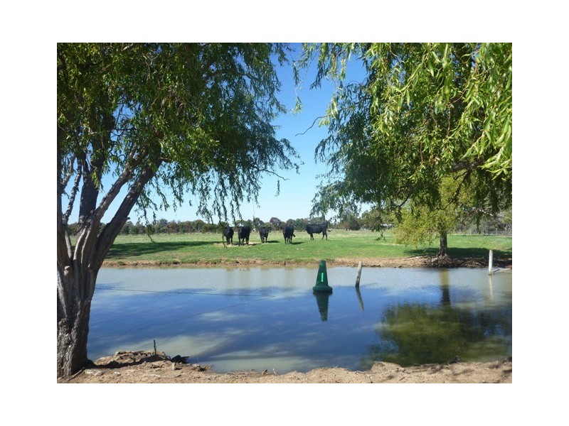111 Pianta Road, Echuca VIC 3564