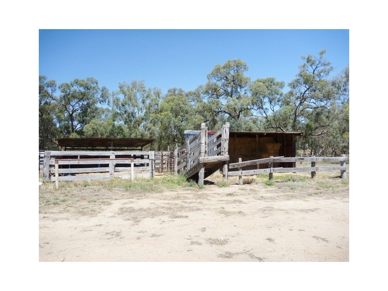 111 Pianta Road, Echuca VIC 3564