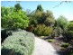 29 Cabernet Drive, Moama NSW 2731