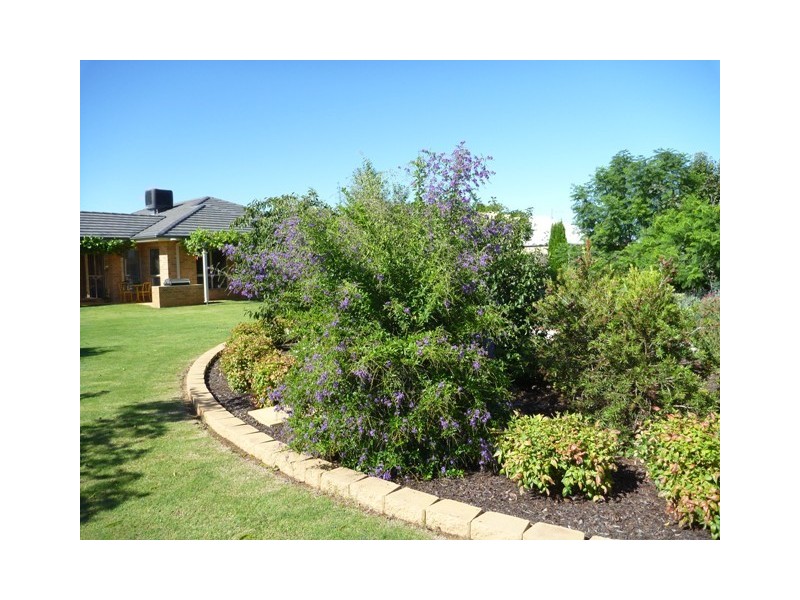 29 Cabernet Drive, Moama NSW 2731
