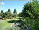 29 Cabernet Drive, Moama NSW 2731