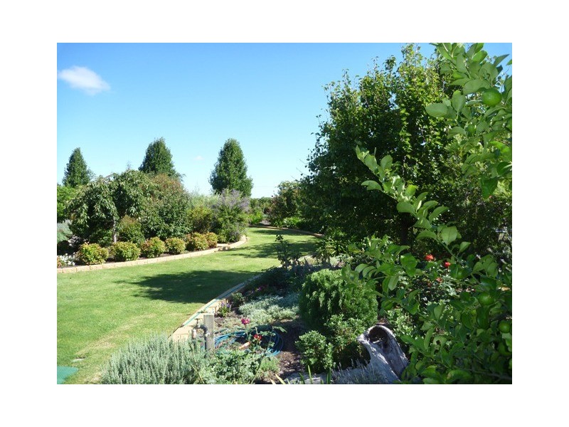 29 Cabernet Drive, Moama NSW 2731