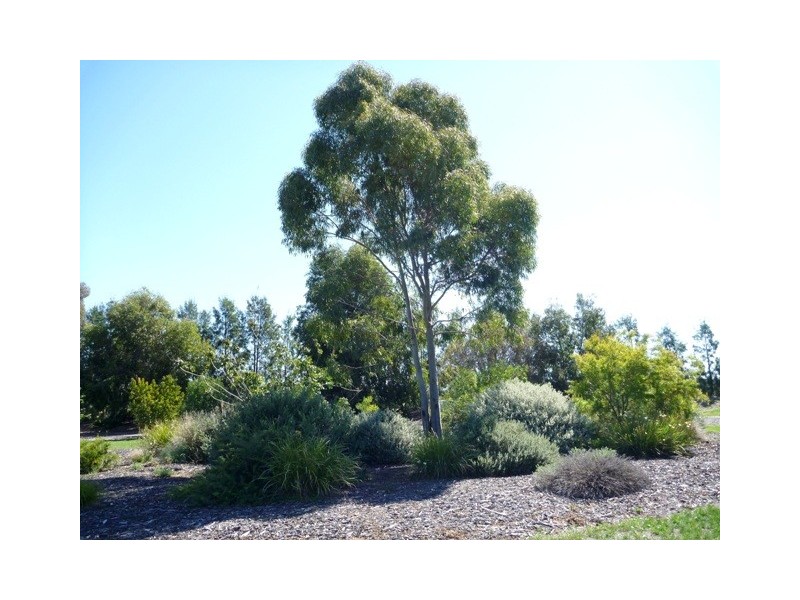 24 Hollara Drive, Moama NSW 2731