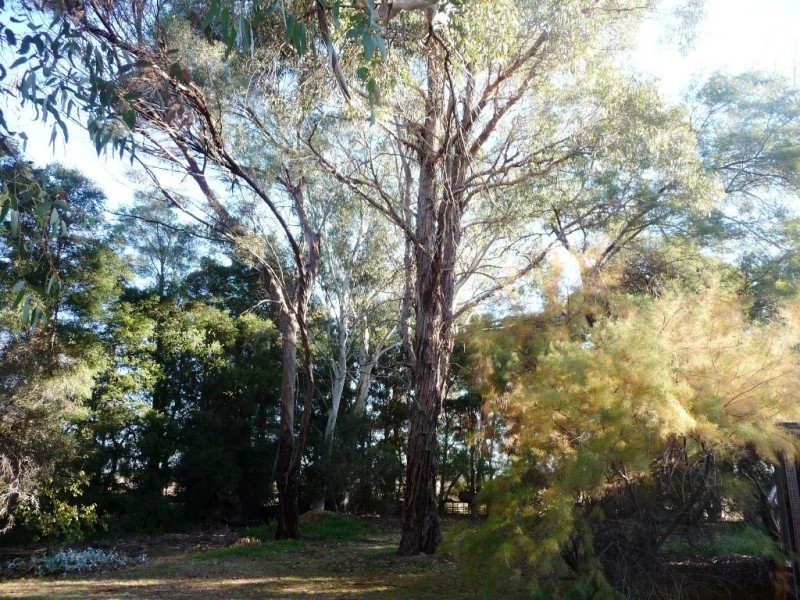 67 Nicholson Lane, Kotta VIC 3565