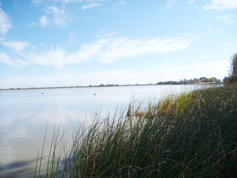 Caravan Park Murray Valley Highway, Kerang VIC 3579