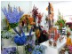 Lynns Florist 203 Darling Street, Echuca VIC 3564