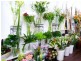 Lynns Florist 203 Darling Street, Echuca VIC 3564
